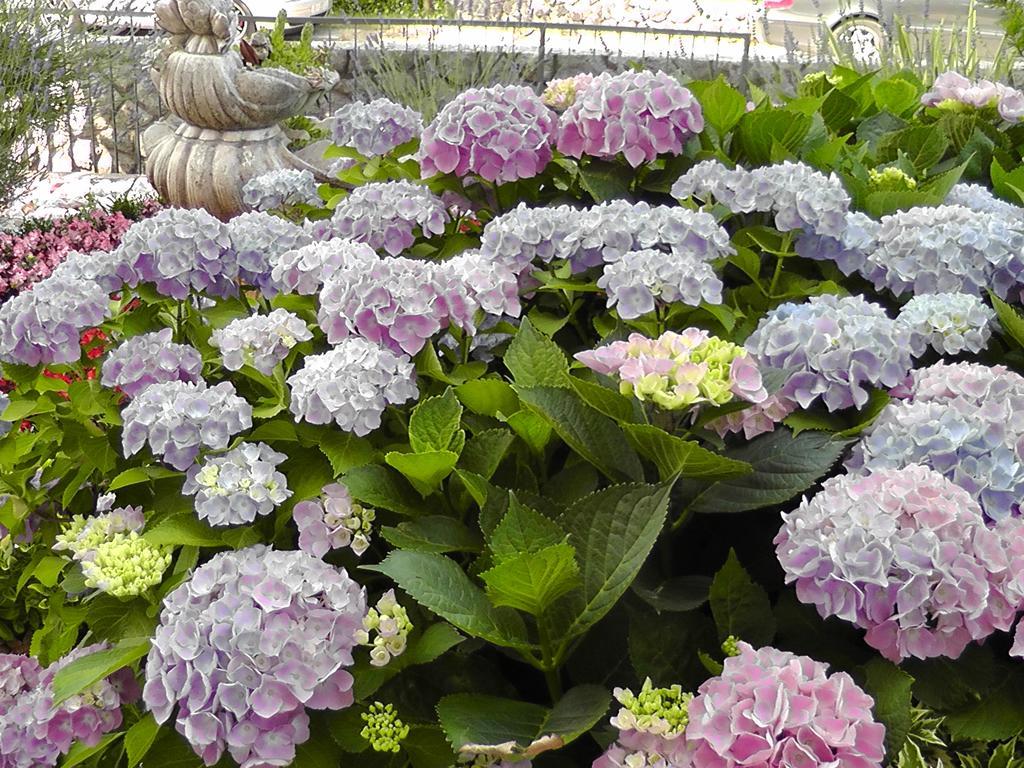 Lavanda 3 ニヴィーチェ エクステリア 写真